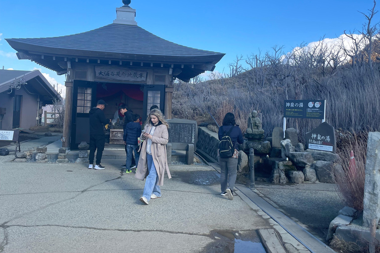 From Tokyo: Hakone Full Day Customizable Private Tour