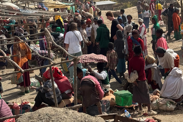 Addis Ababa: Debre Libanos, Gelada Baboons, & Gorge Tour