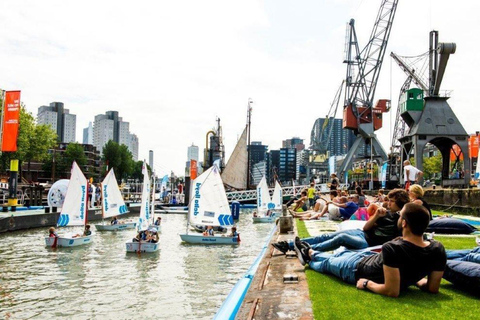 Ámsterdam: excursión de un día a Róterdam con guía local