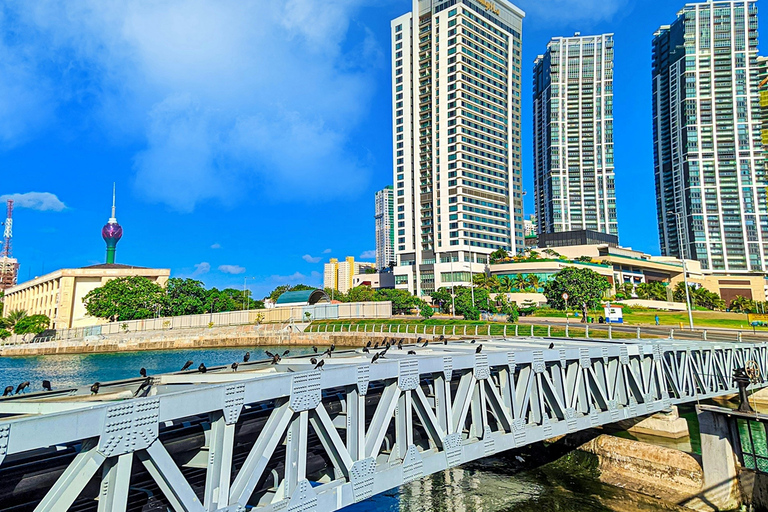 Sri Lanka: 6 Days and 5 Nights Highlight Tour With Guide 6 Days Tour with Car