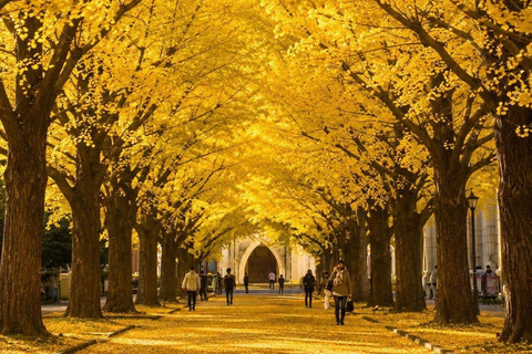 Kyoto & Osaka: Private Customizable Day Trip with Guide