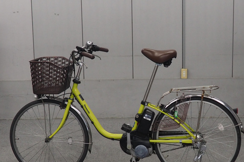 E-Bike Tour in Kyoto with Asuka, Japanese graduate student