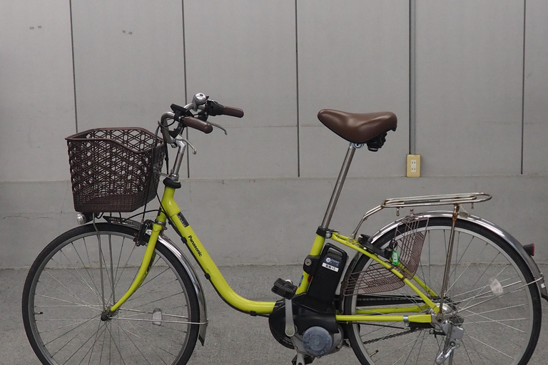 E-Bike Tour in Kyoto with Asuka, Japanese graduate student