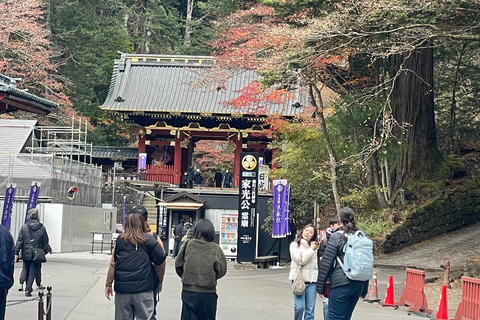 From Tokyo: Nikko Private Day Trip with Pickup & Drop-off