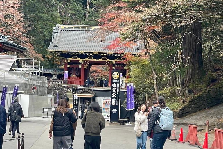 From Tokyo: Nikko Private Day Trip with Pickup & Drop-off