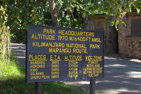 Kilimanjaro: 8-Day Climb via Lemosho Route