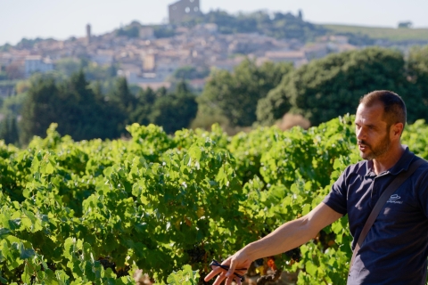 Desde Aviñón: tour del vino por la tarde en Châteauneuf du Pape