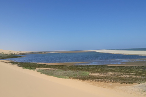 Walvis Bay: Kayaking and Sandwich Harbour Full-Day Tour