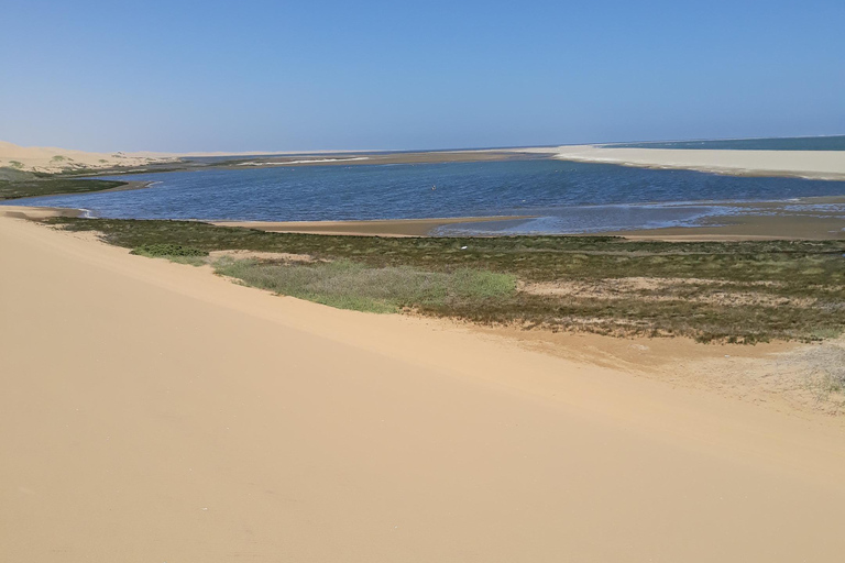 Walvis Bay : Croisière en catamaran et visite du port de Sandwich