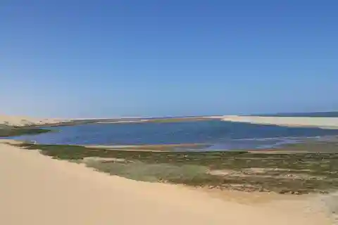 Walvis Bay: Excursión panorámica por el puerto de Sandwich