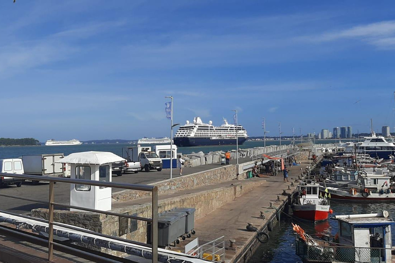 Punta del Este: City Highlights and Hidden Gems Guided Tour