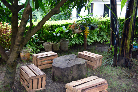 Arusha : Visite des cafés et/ou cours de poterie avec déjeunerTournée des cafés