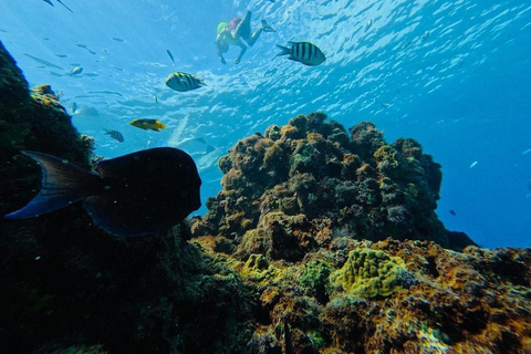 Puerto Plata: Catamaran Cruise