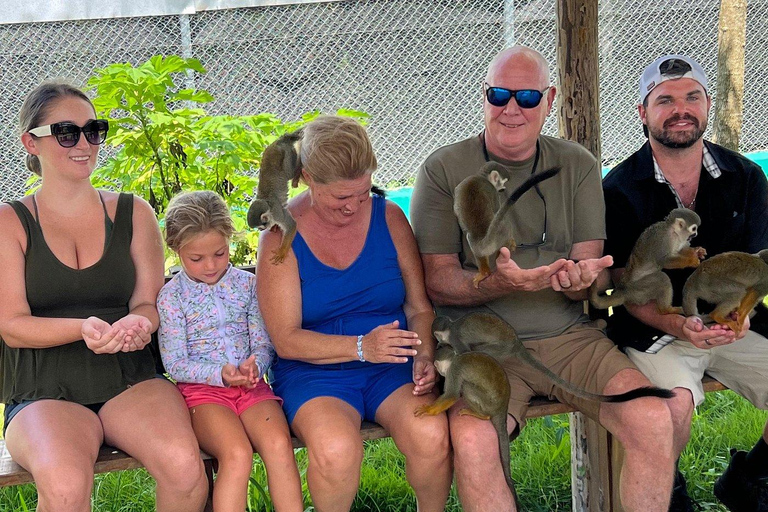 Puerto Plata: Saimiri Monkey Sanctuary, Exotic Flora, and Tropical Oasis