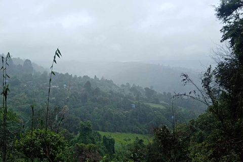 Chiang Mai: jungletocht, olifanten en verblijf in een bergstamdorpChiang Mai: tweedaagse jungletocht met verblijf in de bergstam