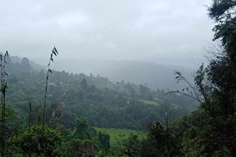 Chiang Mai: 2-dagars djungelvandring med elefantfarm och forsränning