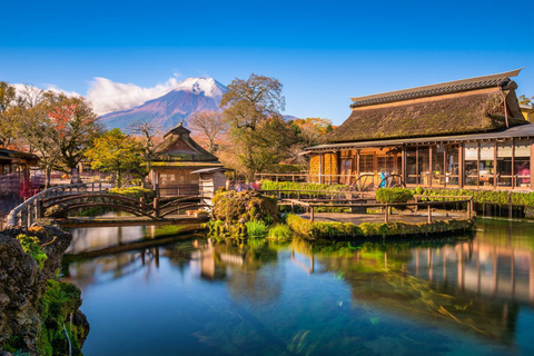 From Tokyo: Private Mount Fuji Day Trip with Driver