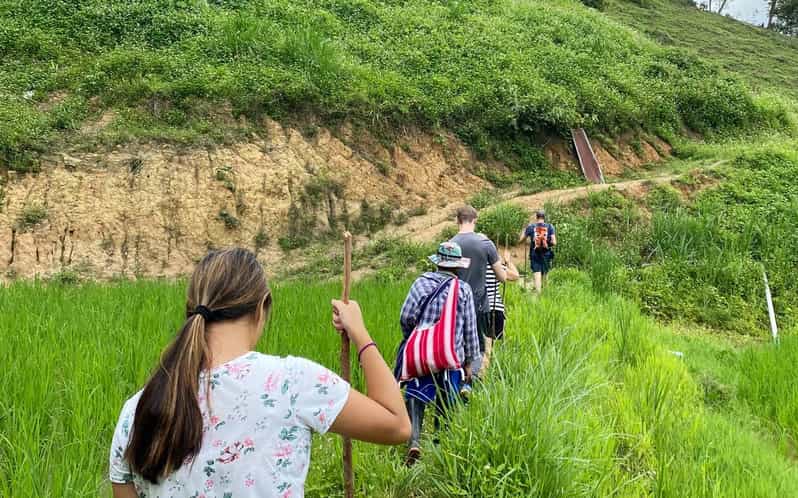 Chiang Mai: Mae Wang Eintägiges Trekking