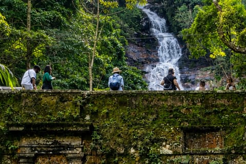 Rio de Janeiro: Historical Hike from Café to Tijuca Forest