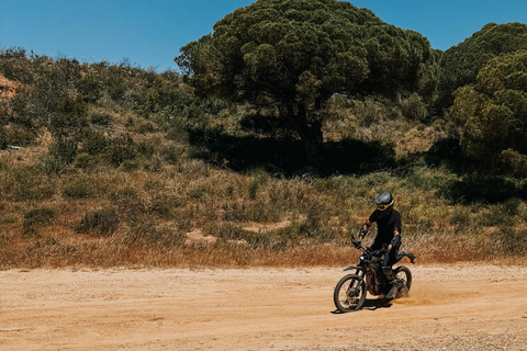 Falésia Cliffs E-Bike Tour with Ocean Views