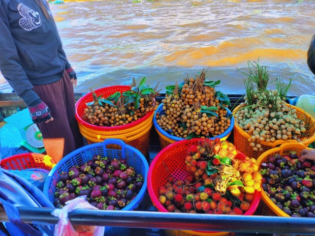 From Ho Chi Minh:Cai Rang Floating and My Tho Boat Ride 1day