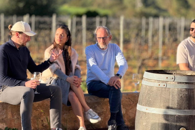 اكتشف كنوز نبيذ مايوركا في أحد أفضل مصانع النبيذمايوركا: اكتشف كنوز النبيذ المحلي