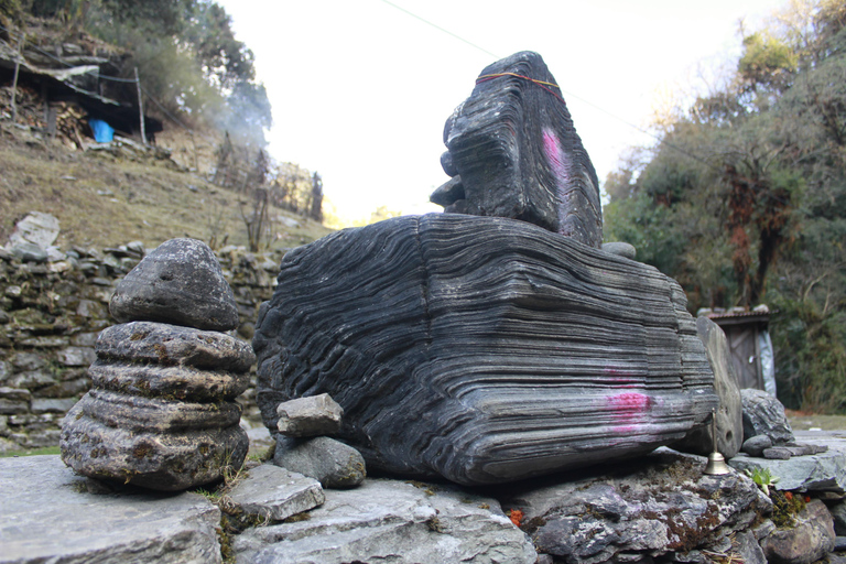 Découvrez la magie de Poon Hill : Un trek de 4 jours au départ de Pokhara