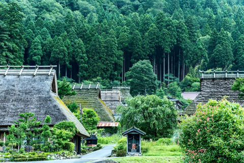 Kyoto/Osaka: Amanohashidate & Ine Funaya & Miyama Day Tour Cable Car & Ine Bay Cruise Excluded | Osaka 7:30AM