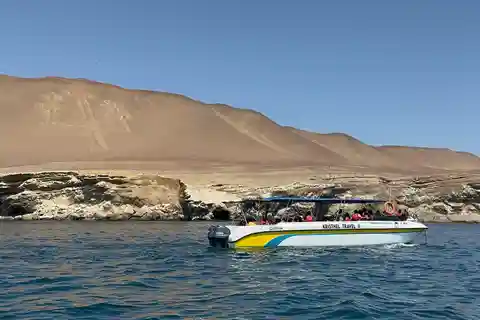 Desde el Puerto de San Martín: Excursión a las Islas Ballestas en Paracas
