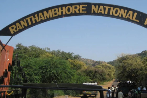 Depuis Delhi : voyage de plusieurs jours dans le Triangle d'Or avec safari tigresVisite du Triangle d'or de 7 jours sans hôtel