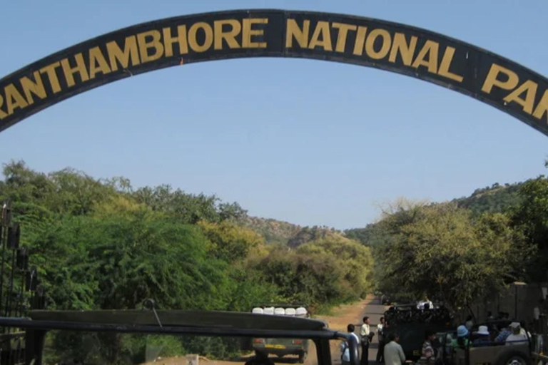 Depuis Delhi : voyage de plusieurs jours dans le Triangle d'Or avec safari tigresVisite du Triangle d'or de 7 jours sans hôtel