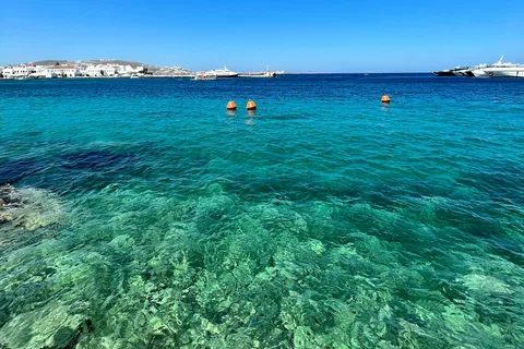 Mykonos: Beach Hopping Tour by Van