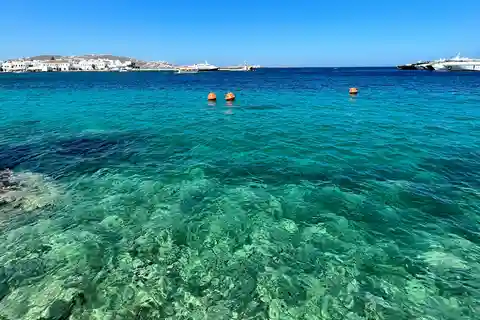 Mykonos: Beach Hopping Tour by Van