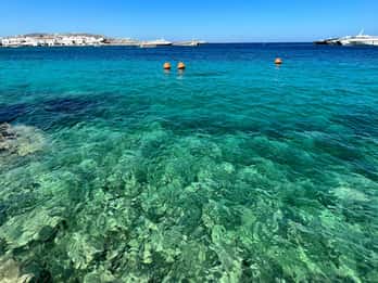 Mykonos: Beach Hopping Tour by Van