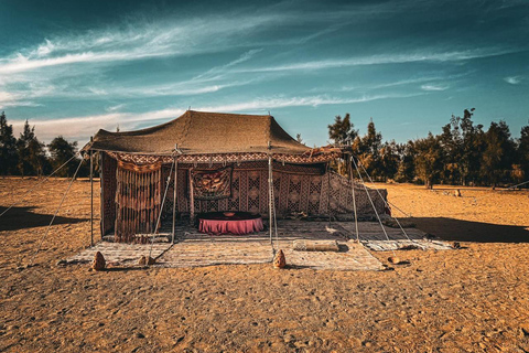 Hurghada: Hiking , dinner & stargazing Advanced hiking tour & camel ride