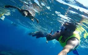  - Canarie.it