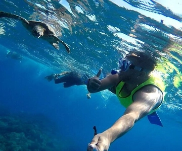 Drake Bay: Snorkeling Tour in Caño Island with Lunch