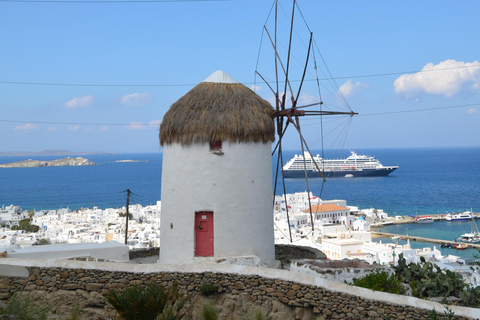 Mykonos: Island Highlights Tour with Pickup and Drop-off