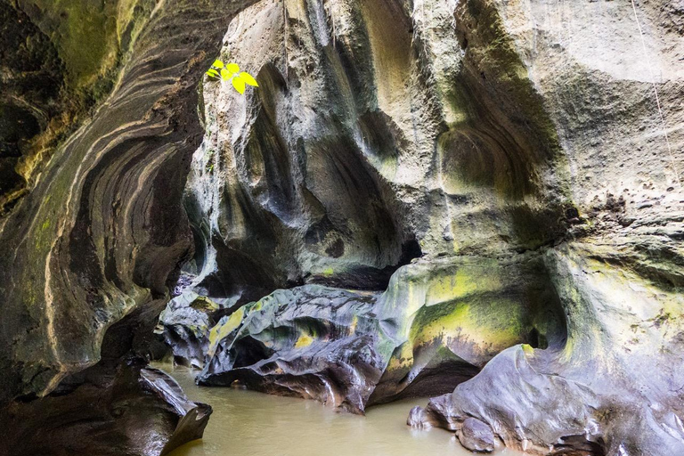 Ubud: Hidden Canyon Beji Guwang Guided Tour Small Group Tour (Meeting Point at Ubud Palace)
