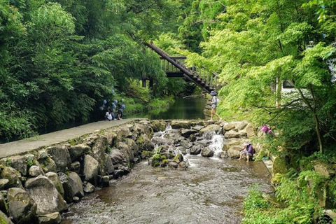 De Fukuoka: Viagem de 1 dia para o Castelo de Kumamoto, Monte Aso e Kurokawa