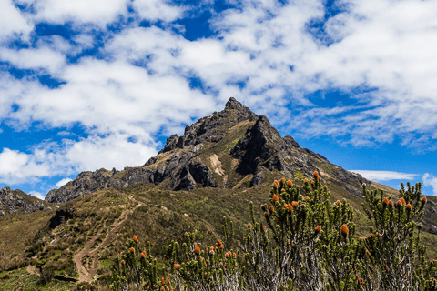 Quito Rucu Pichincha: Wędrówka na szczyt Rucu Pichincha