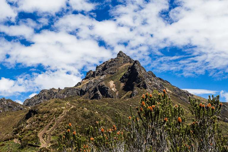 Quito Rucu Pichincha: Hiking to the Rucu Pichincha summit