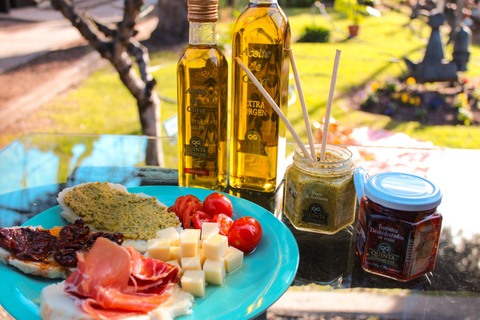 Excursion de 4 jours à Mendoza et dans les Andes