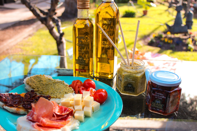 Excursion de 4 jours à Mendoza et dans les Andes