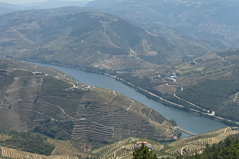 Porto: Douro Valley Train Tour, Cruise, Wine & Lunch
