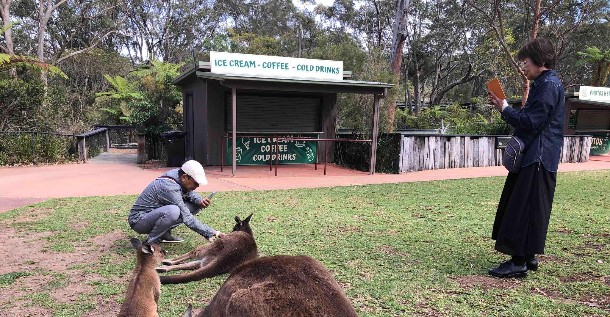 Da Haymarket, Hunter Valley Wine and Wildlife Day Trip - Hizvo