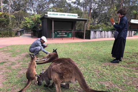 From Haymarket: Hunter Valley Wine and Wildlife Day Trip