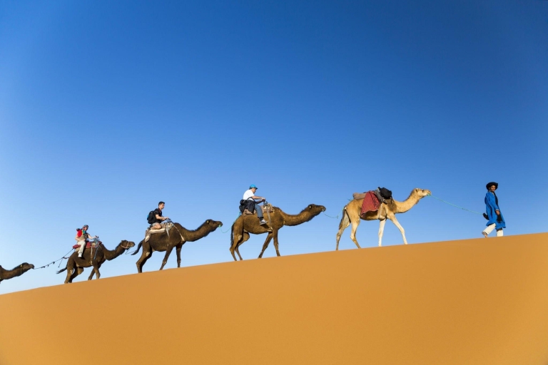 Z Agadiru: przejażdżka na wielbłądach i wędrówka po flamingach