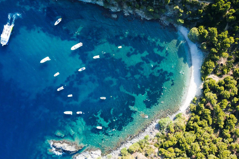 CAP DE CREUS NUOTO E SUPER VISIONE SOTTOMARINADAL CENTRO DELLE ROSE - COMPAÑÍA ELS BLAUS DE ROSES