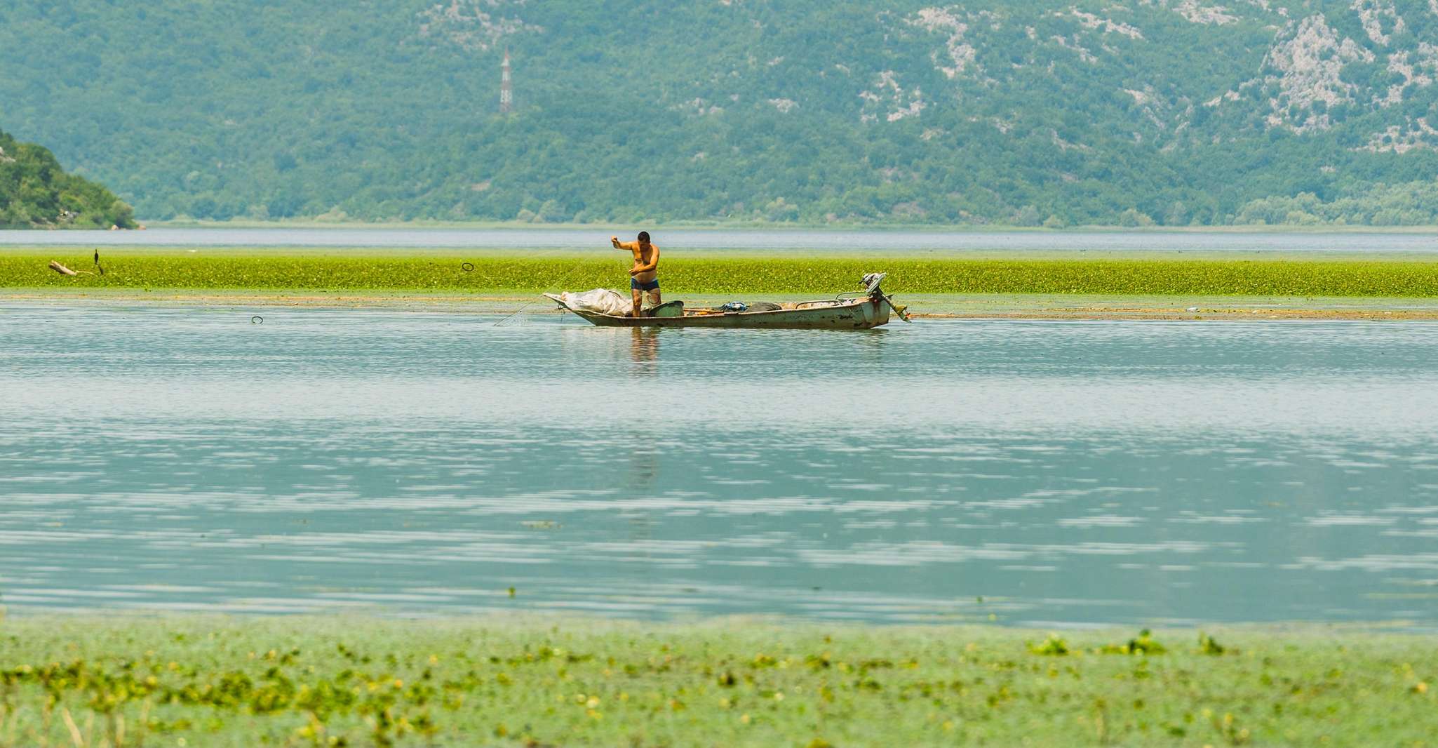 Lake Skadar, Guided Sightseeing Boat Tour with Refreshments - Housity